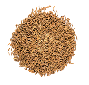 alcaravea-grano castillian foods